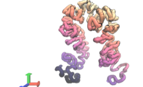 New Artificial Intelligence Tools Predict DNA's Regulatory Role and 3D Structure