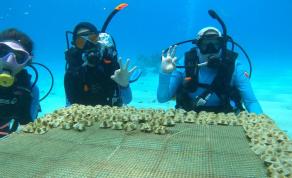 Women Lead Marine Restoration Efforts in the UNESCO Seaflower Biosphere Reserve