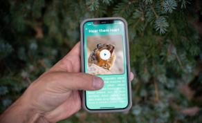 IF/THEN Ambassador, Johanna Varner, Talks New App That Lets You Track Climate-Threatened Pikas