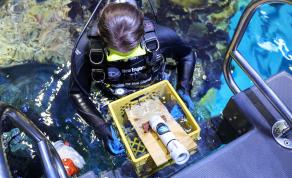 IF/THEN Ambassador, Katy Kroff Bell, Along With a Group of Scientists, Conservationists, and Explorers Devised a Low-Cost Device To Make Deep Sea Exploration More Accessible