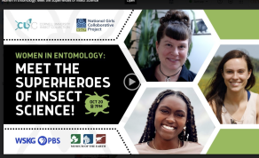 Women in Entomology: Meet the Superheroes of Insect Science