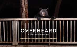 IF/THEN Ambassador Dr. Rae Wynn-Grant Hosted Last Week’s Nat Geo Podcast, “Overheard”
