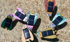 Programs and Activities Solar Bugs