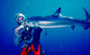 Get Ready for Shark Week 2023 With Shark Scientist Valerie Taylor, Who Is the Center of a New Documentary “Playing With Sharks”