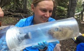 IF/THEN Ambassador Alum Johanna Varner, in Partnership With the Denver Zoo, Launched an App To Track Wild Pika Populations