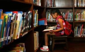 The Stories of Great Female Scientists That Lay Buried in School Bookshelves