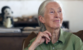 Jane Goodall Opens Up About Overcoming Female Stereotypes in Her Field
