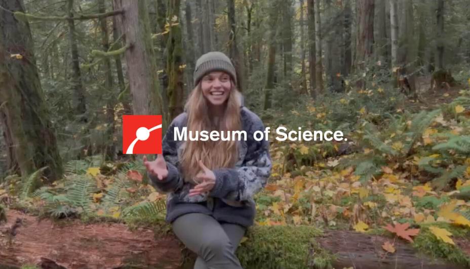 A nature content creator sitting in the woods with the Museum of Science logo overlayed on top of the image.